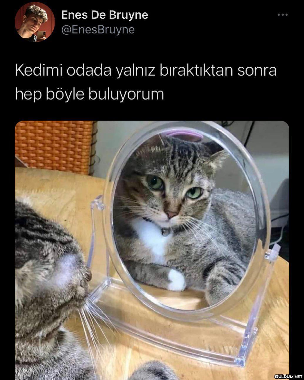 Enes De Bruyne @EnesBruyne...