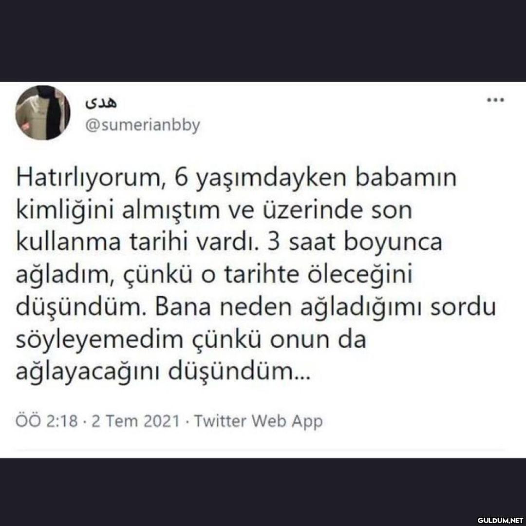 bu kadar da salak...