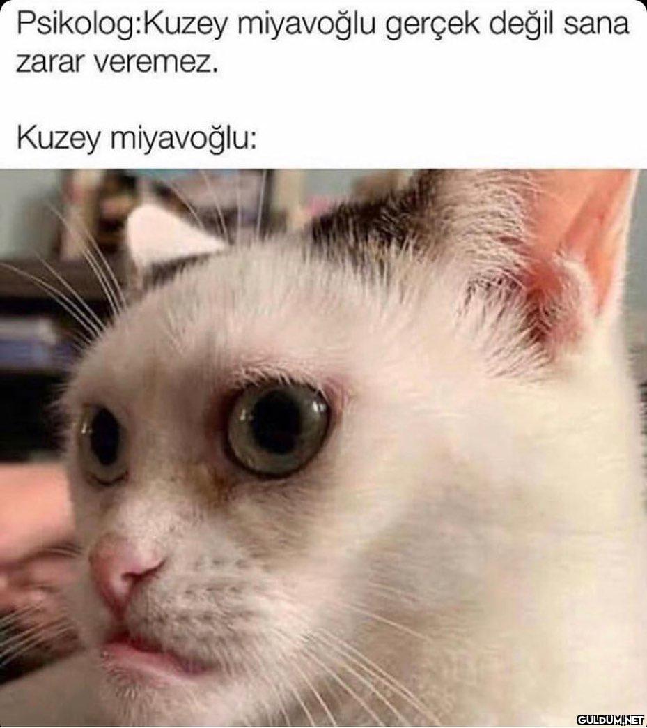 hayırdır ne yaylana...