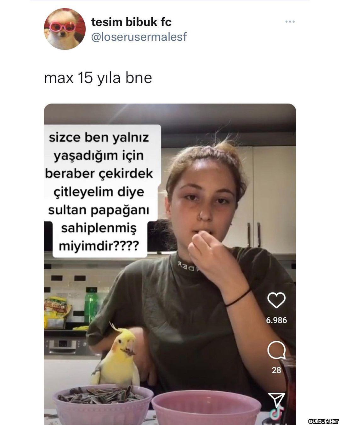 KQĞTĞWÖGĞWLFWŞWFL  tesim...