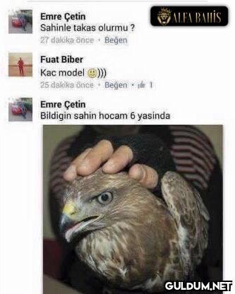 meanwhile in Turkey   ...