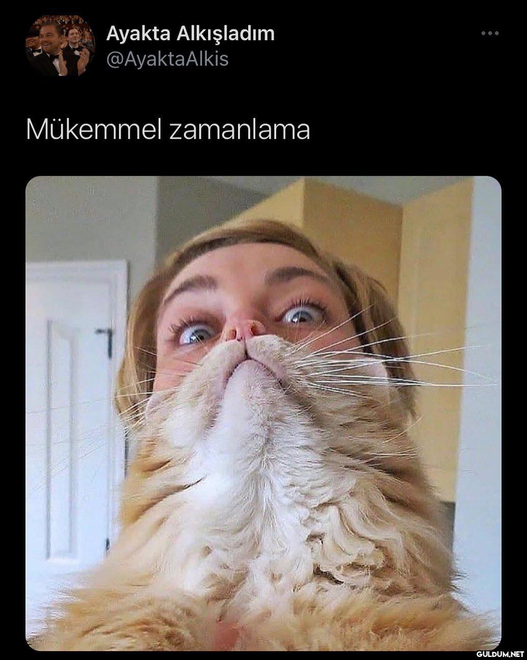 asla kedymle böyle bir...