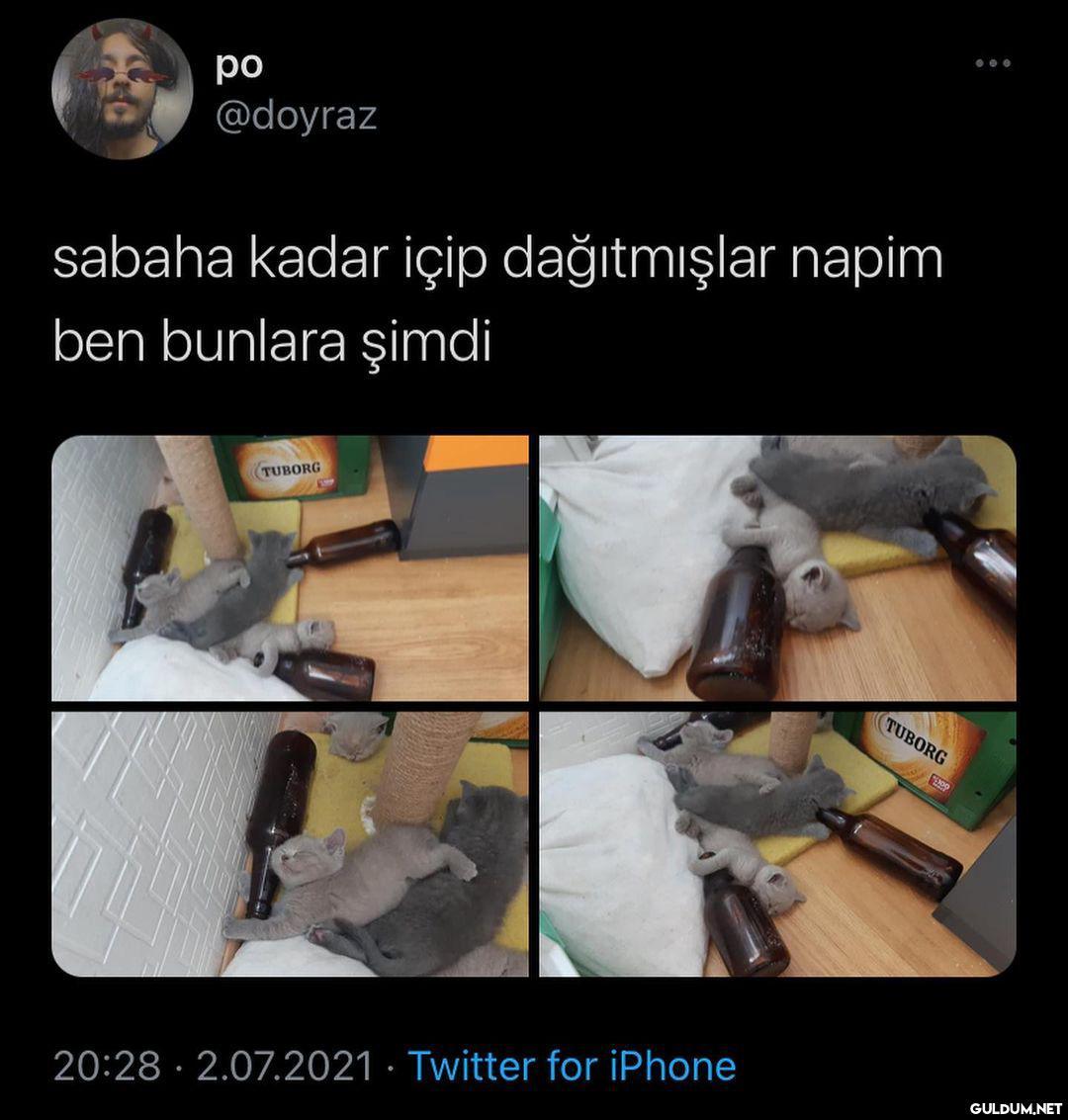 günaydın, güne bu kedyler...