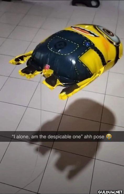 I alone, am the despicable...