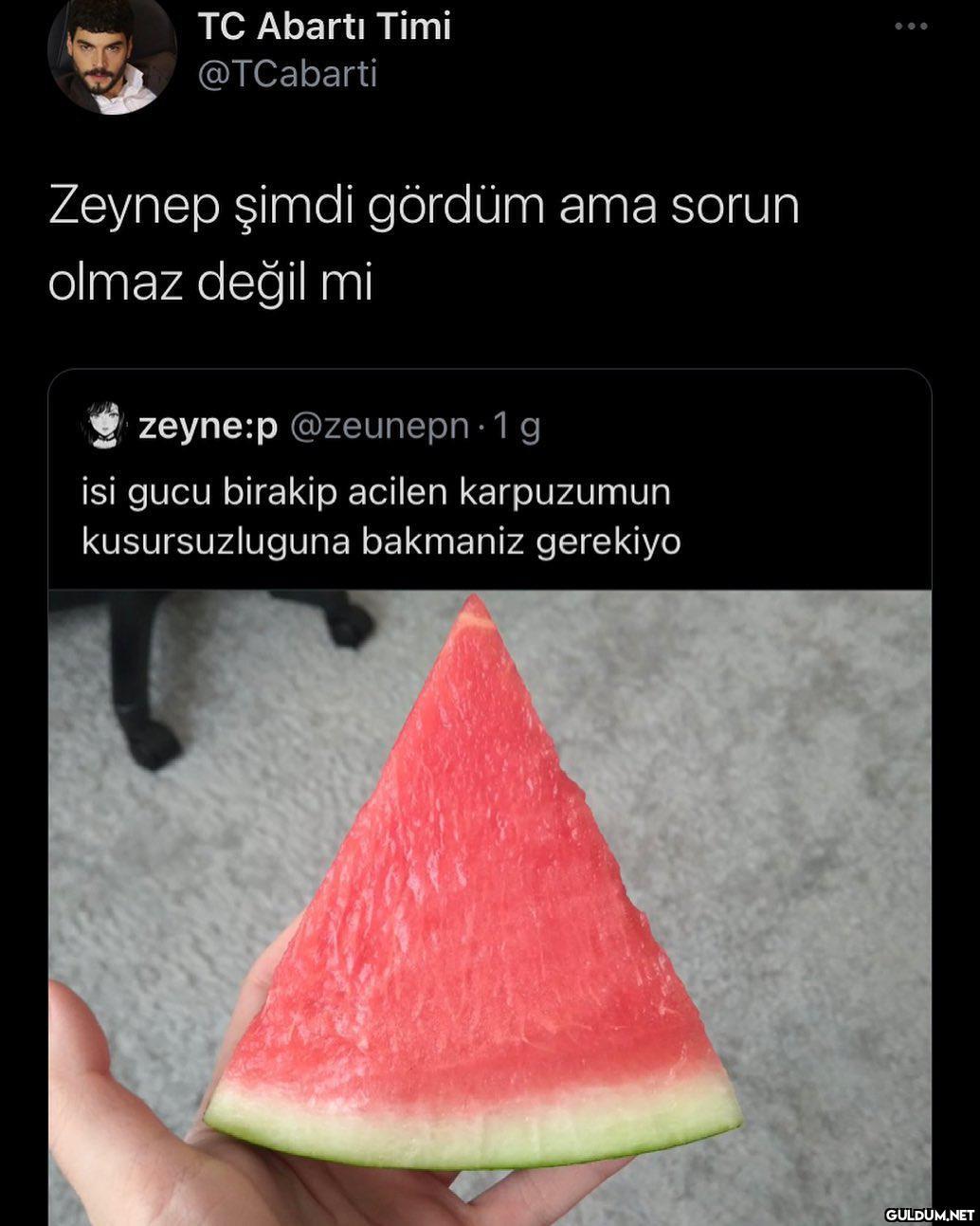 TC Abartı Timi @TCabarti...