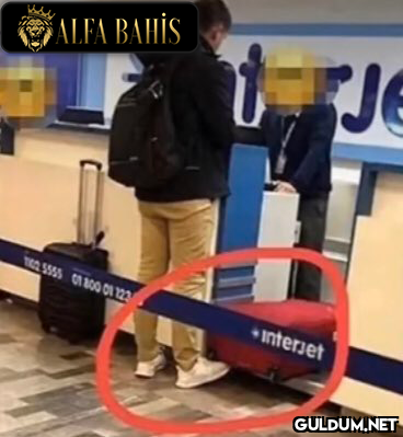 Beynimizin hepsini...