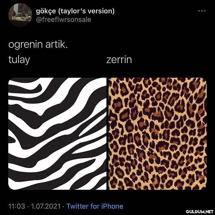 genel kültür  gökçe...