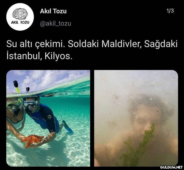 Akıl Tozu 1/3 @akil_tozu...