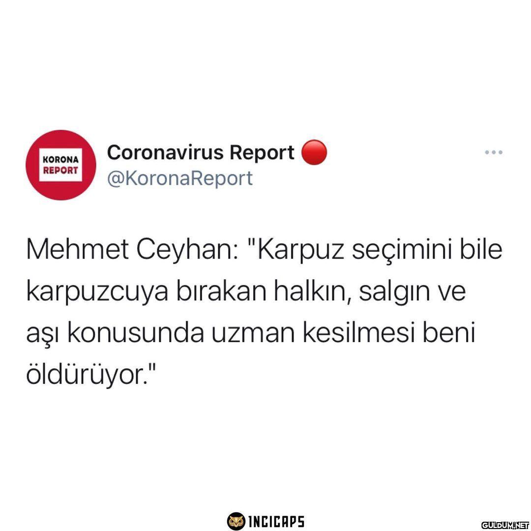 Coronavirus Report KORONA...