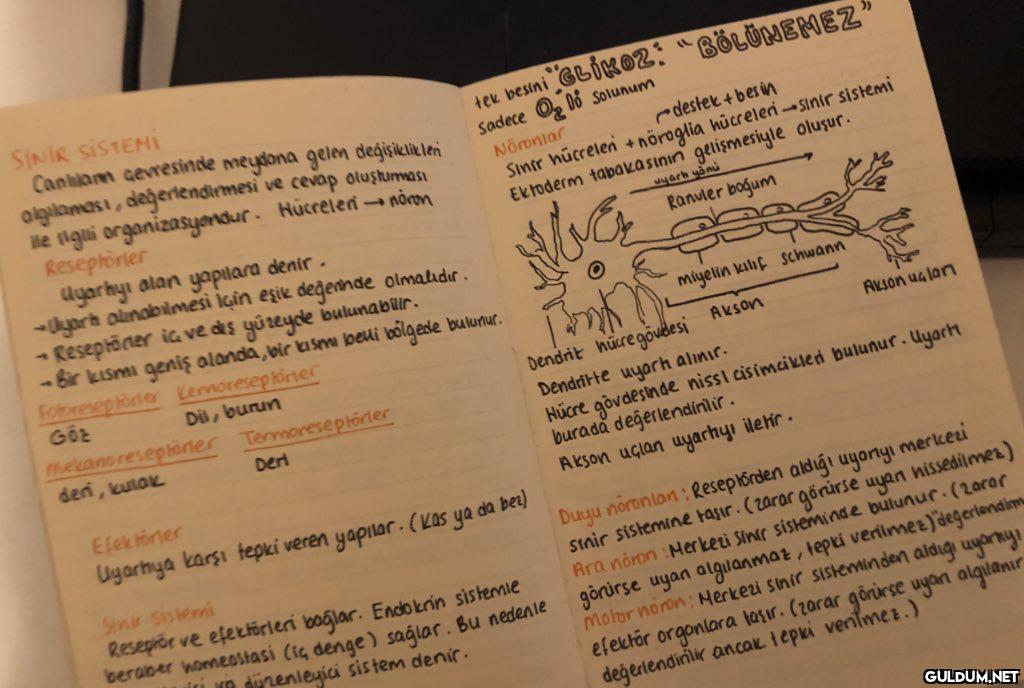 Tek defter kullananlar...