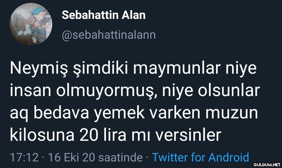 https://t.co/gkpgiPWjrk