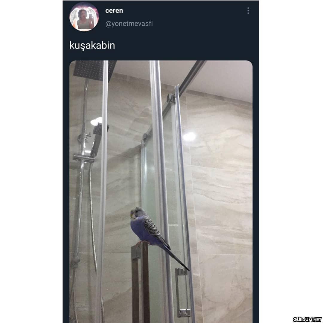Milletin mizahına laf...