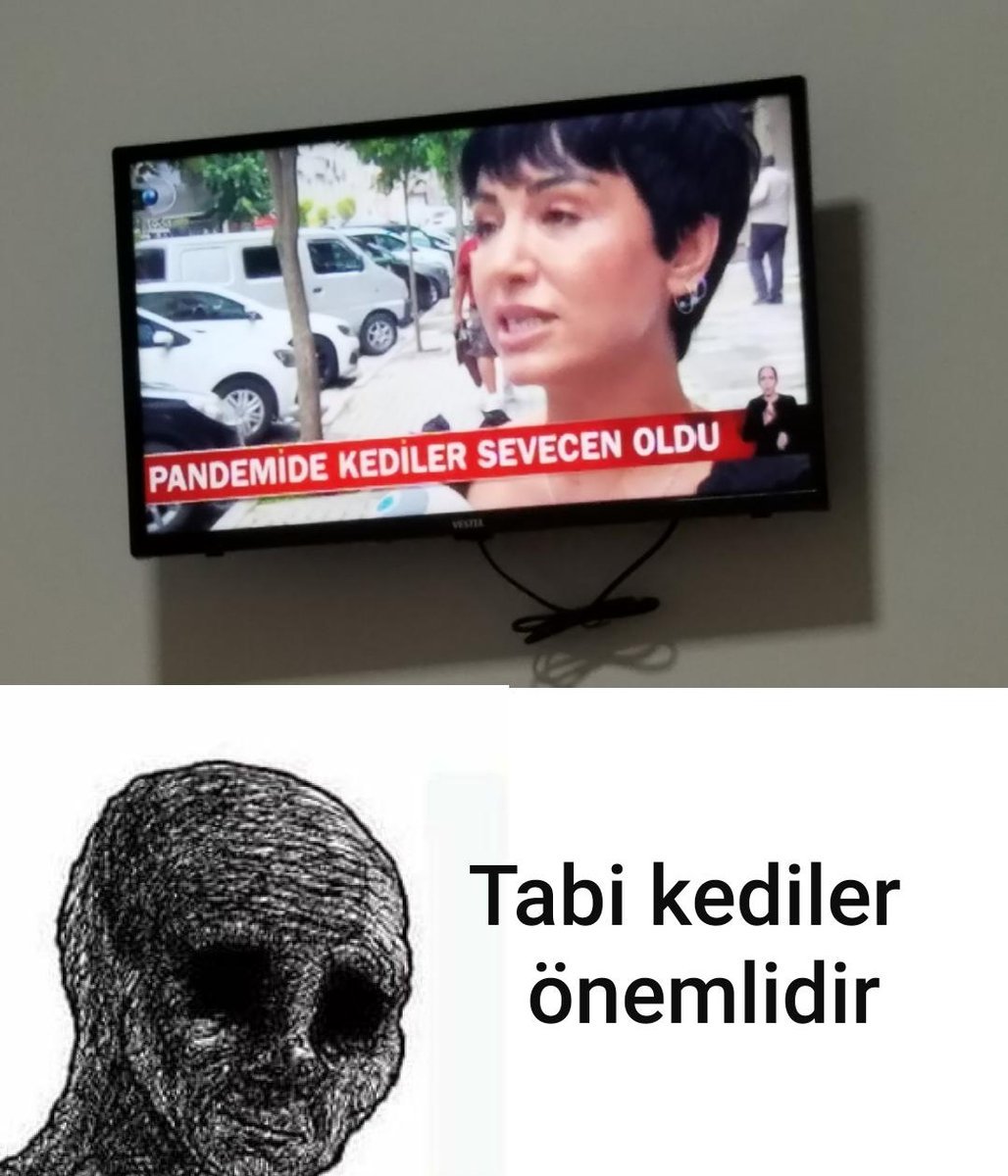 " PANDEMİDE KEDİLER...