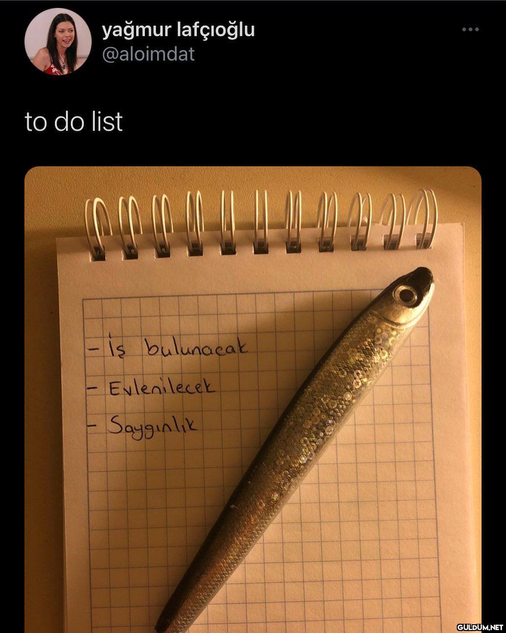 " yağmur lafçıoğlu...