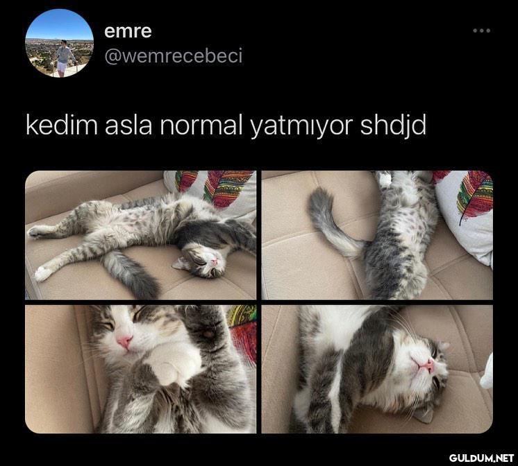 " cabuk son fotografa...
