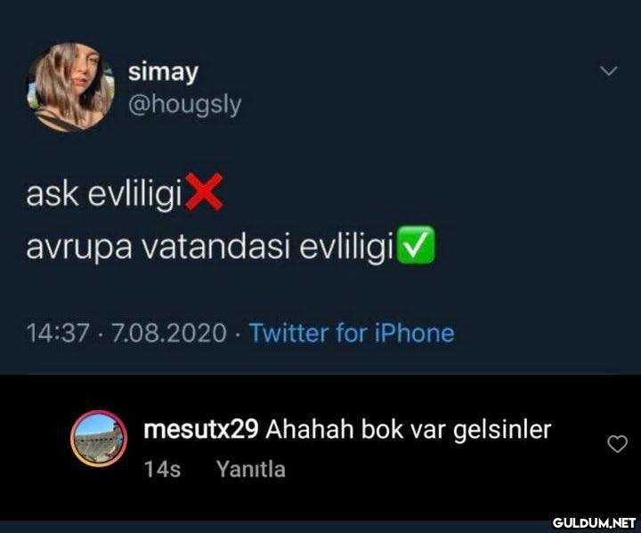 " simay @hougsly ask...