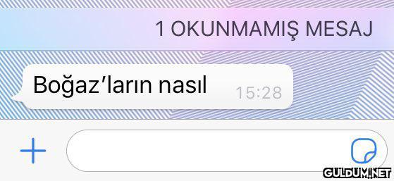 "  İngiltere Osmanlı ile...