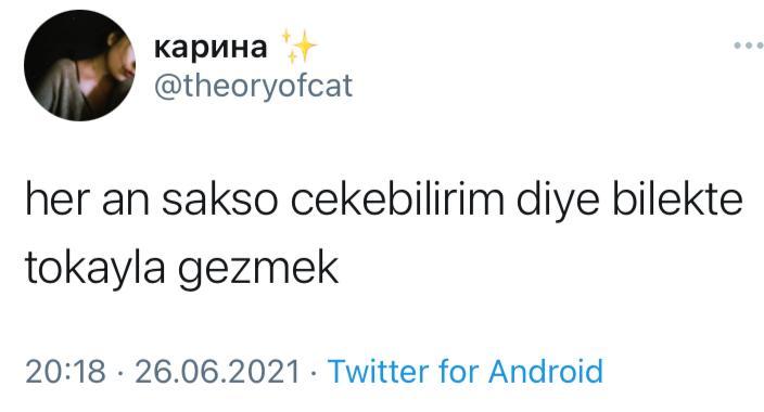 " карина @theoryofcat her...