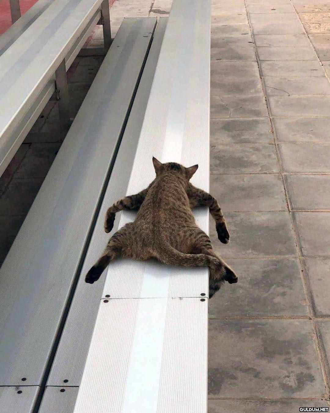 " Çok sıcak  Kaynak"
