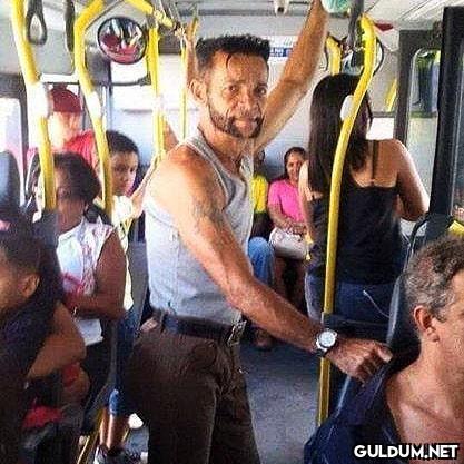 " Wolverine Yerverin ...