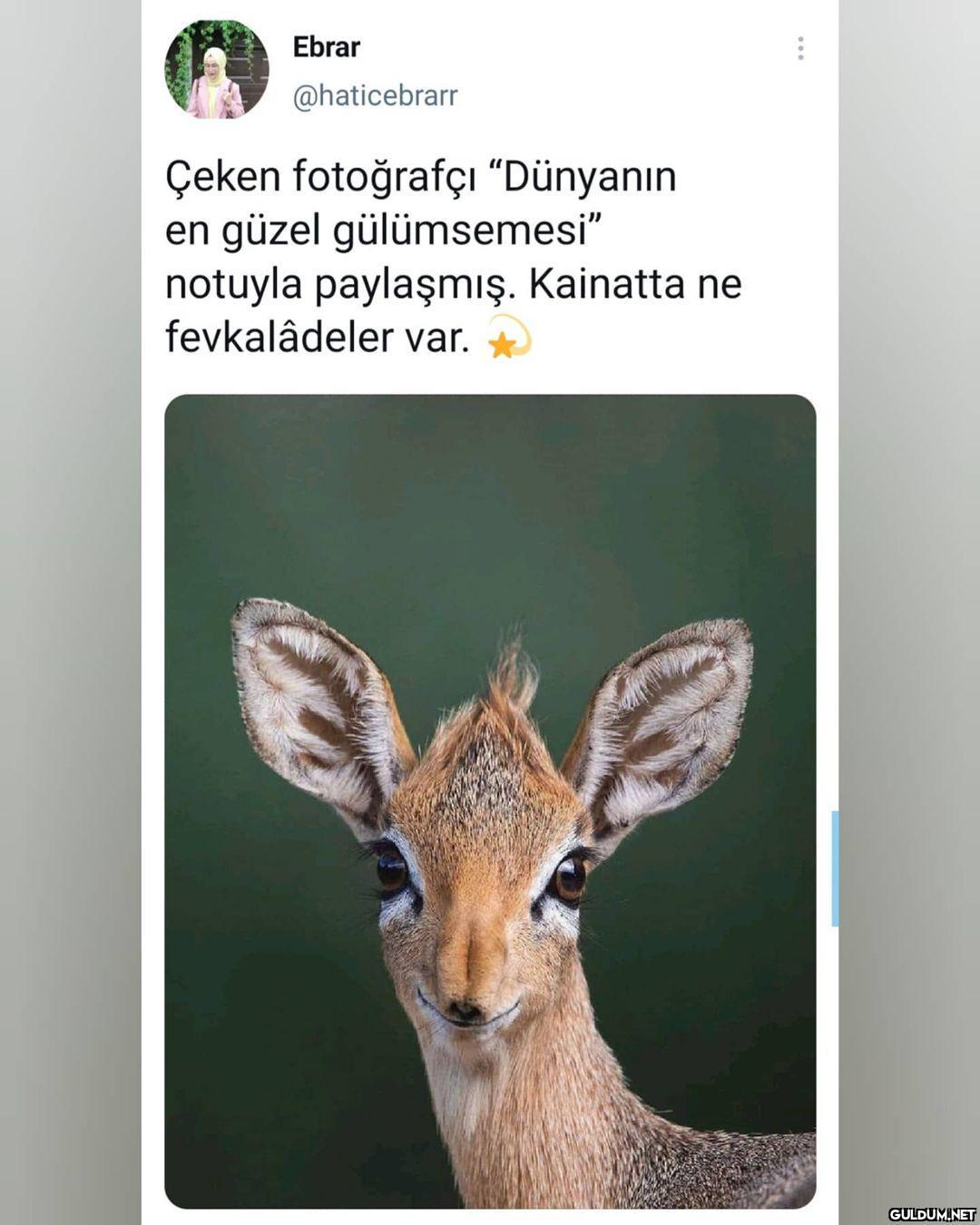 " Ebrar @haticebrarr Çeken...