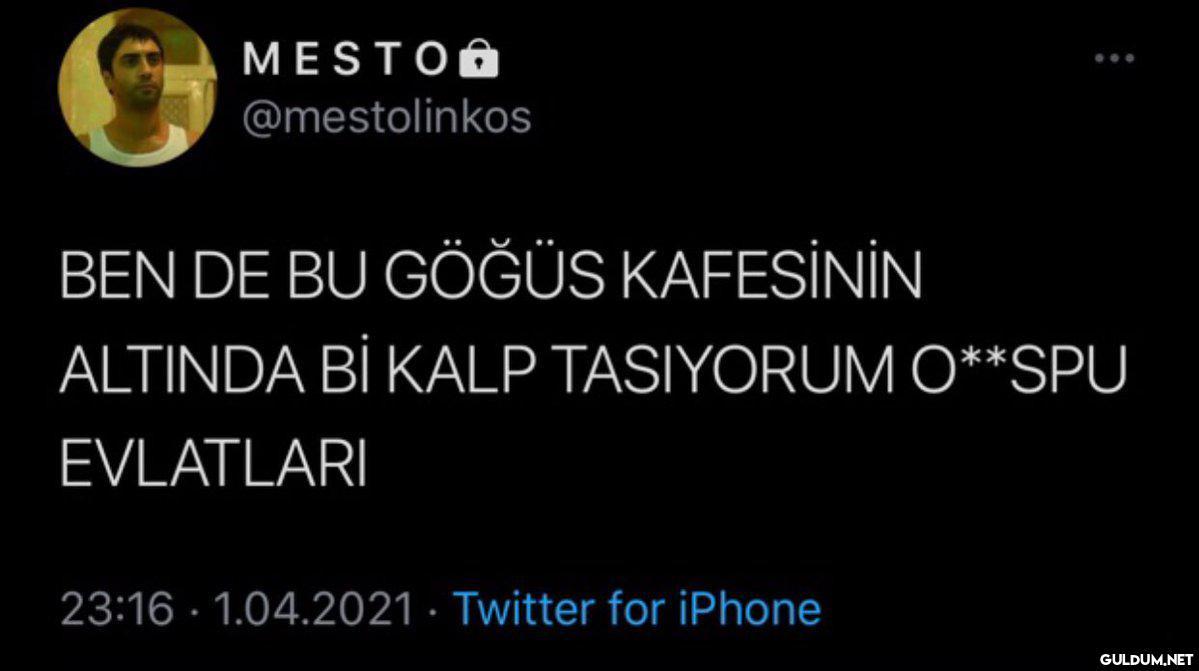 " MESTOB @mestolinkos BEN...
