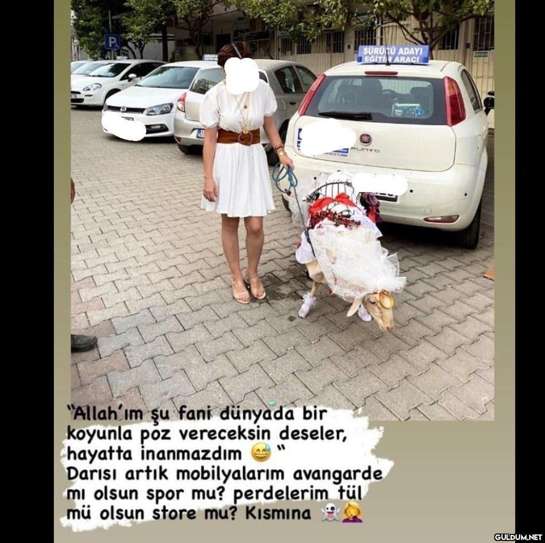 " Hayvanı ne hale...
