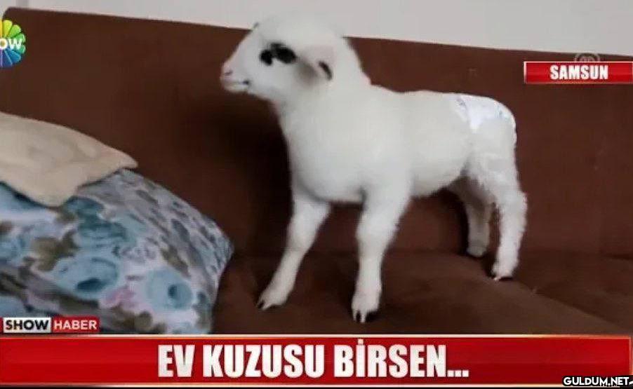 " Pandemi bitse de modumuz...
