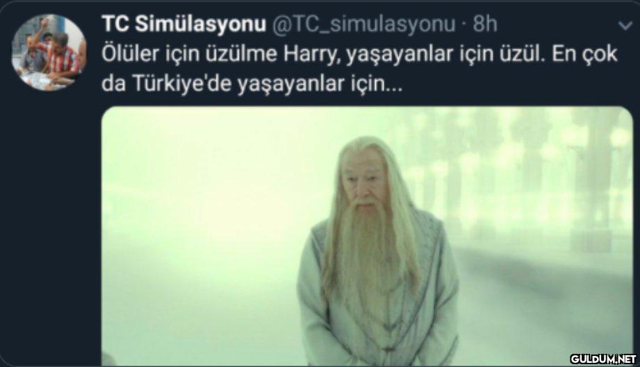 " TC Simülasyonu...
