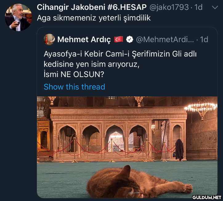 " Cihangir Jakobeni...