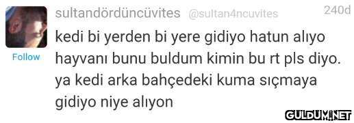 " sultandördüncüvites...