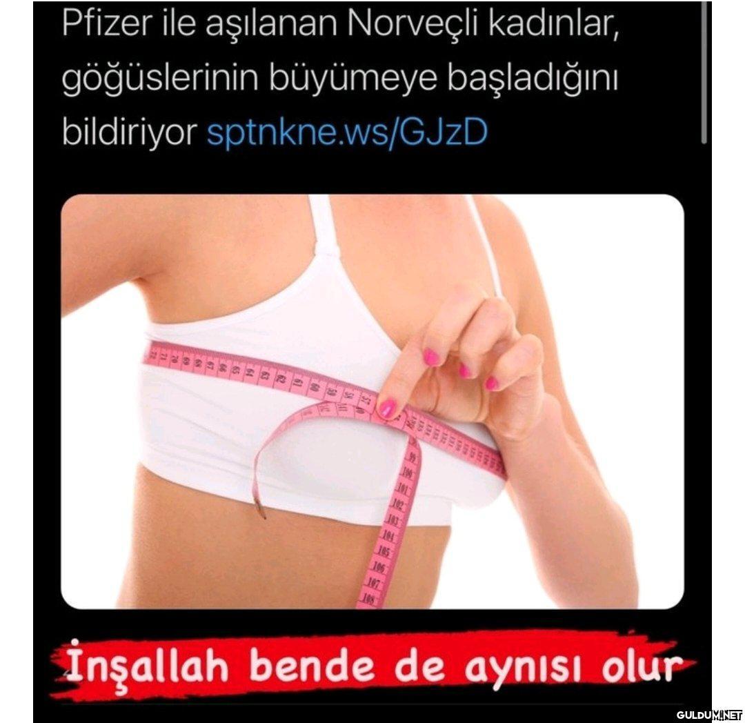 "   Hoslandiginiz erkegin...