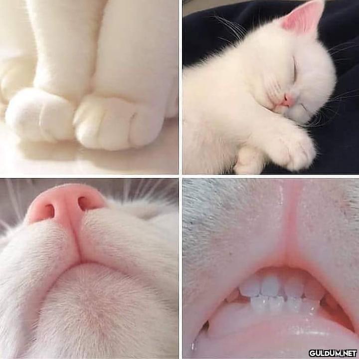 " Günaydın 😊  Kaynak"