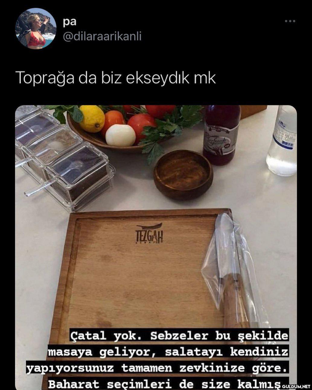 " ра @dilaraarikanli...