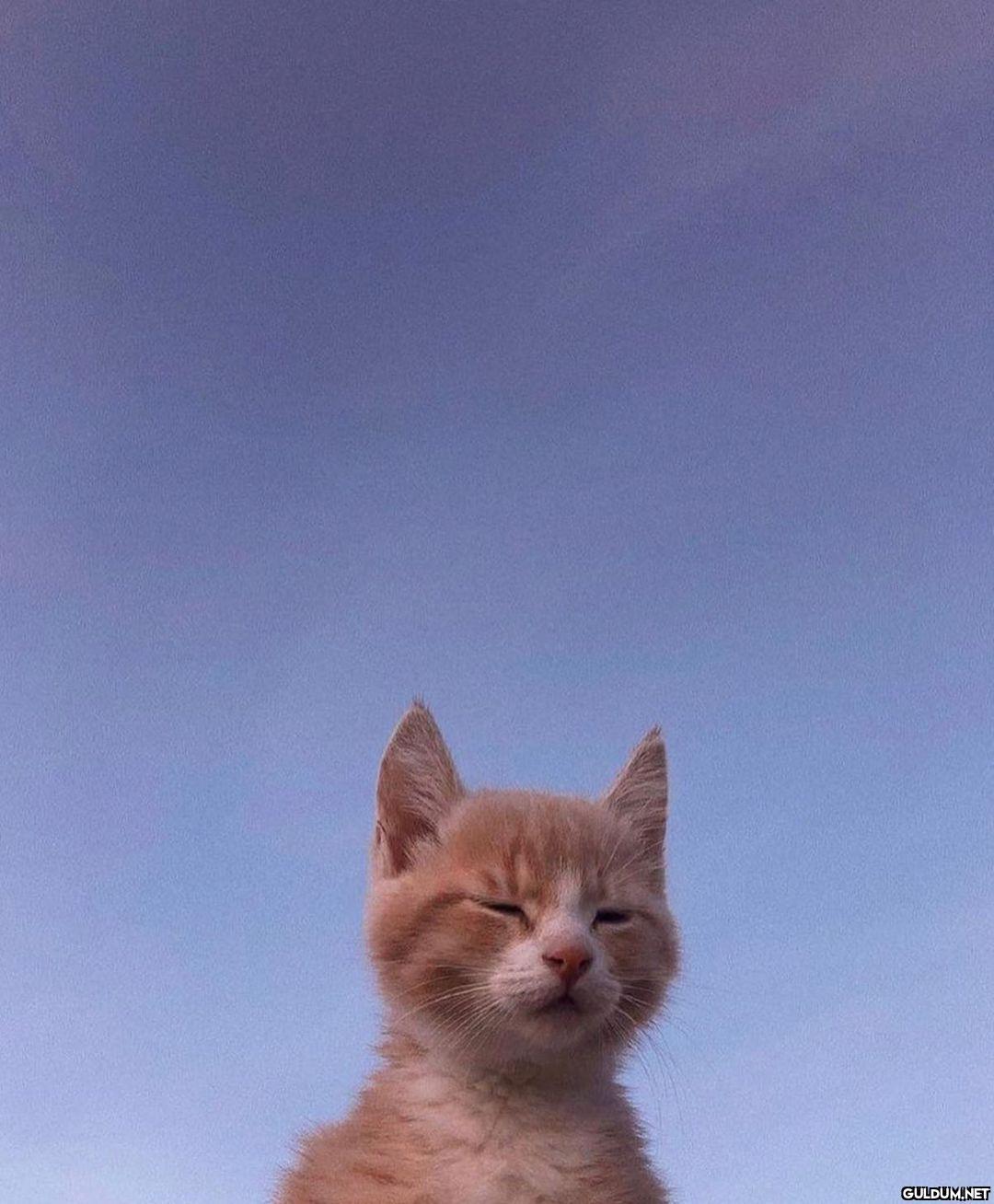 " günaydın güne tatlı...