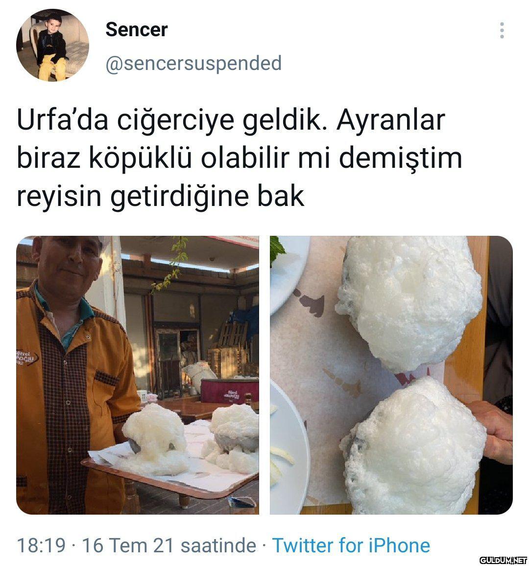 "  Reis köpük partisi...