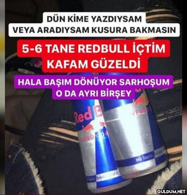 "  Kaç defa dedik...