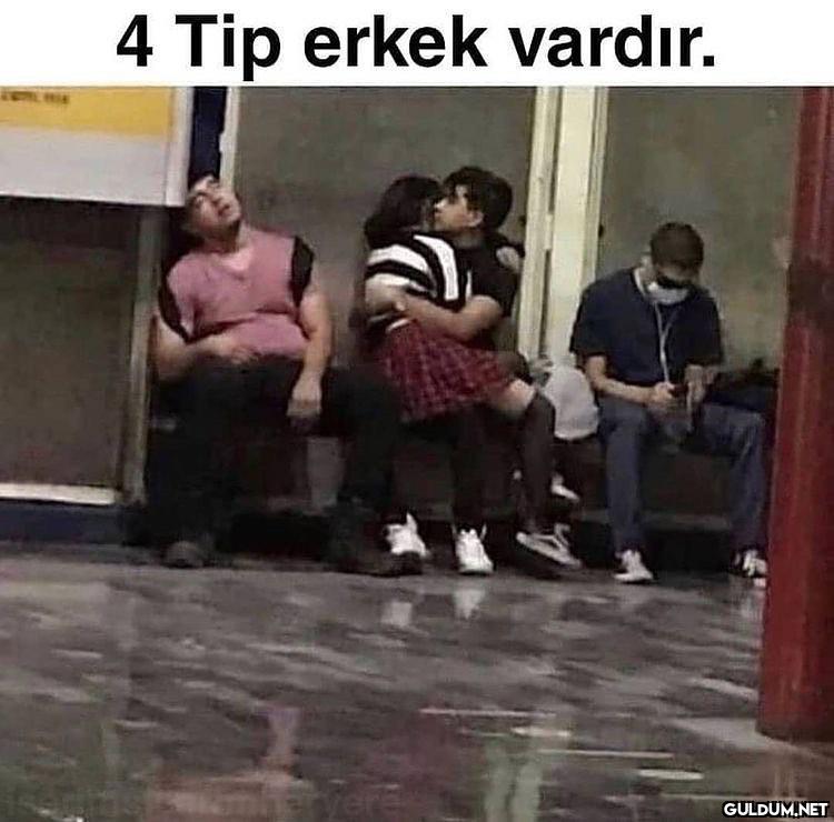 " 4 Tip erkek vardır.    Kaynak"