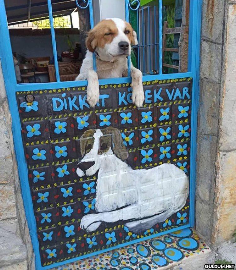 "   * DIKK T K EK VAR *Xx...