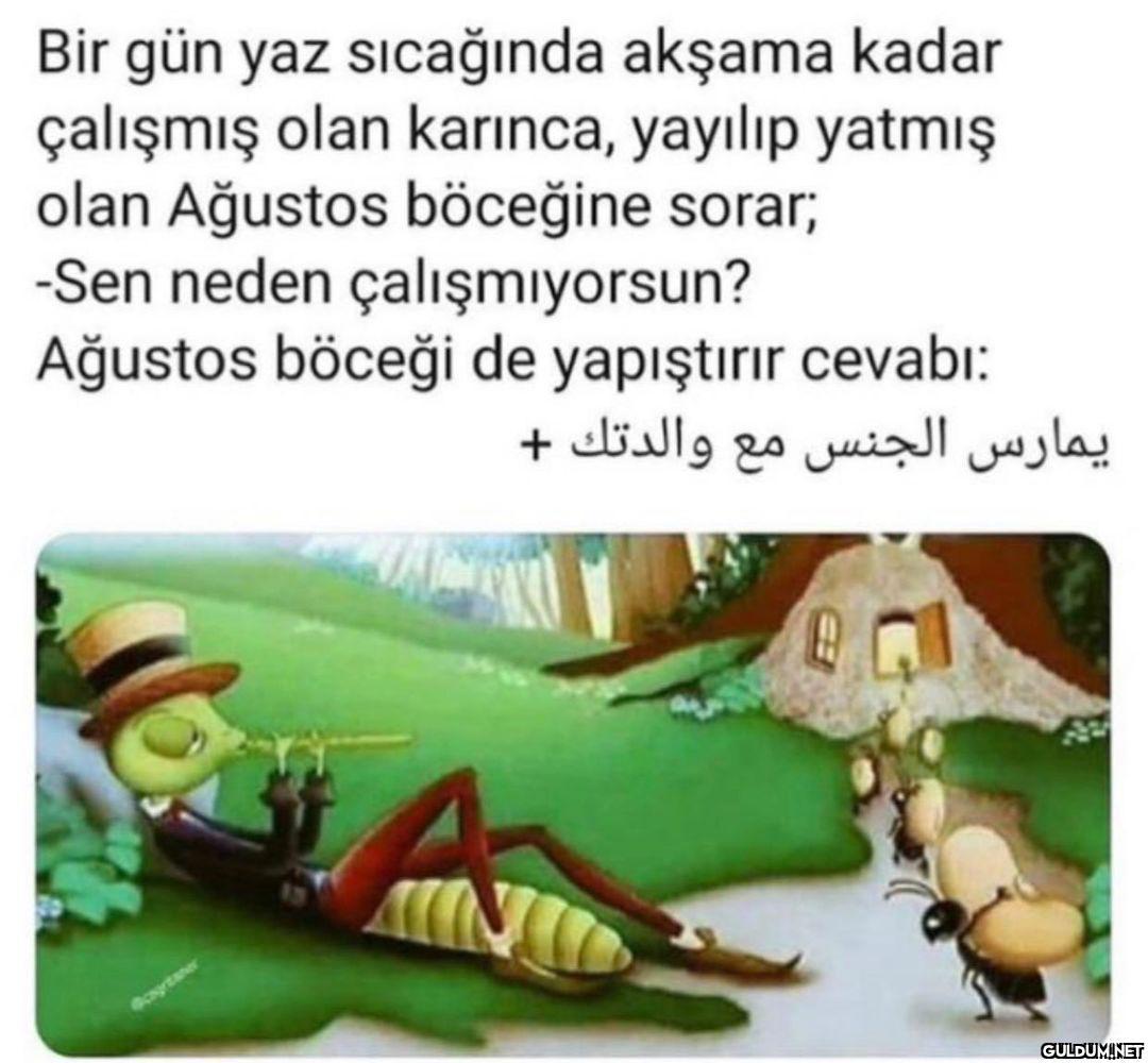 " Bir gün yaz sıcağında...