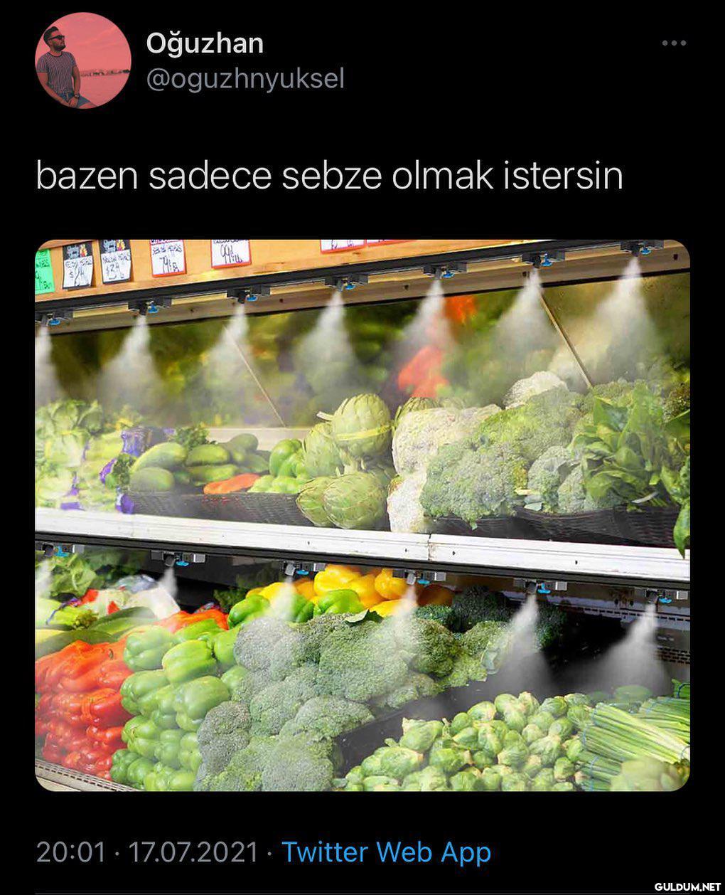 " yaprak kıpırdamıyor ...
