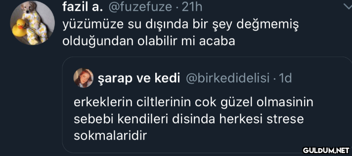" fazil a. @fuzefuze · 21h...