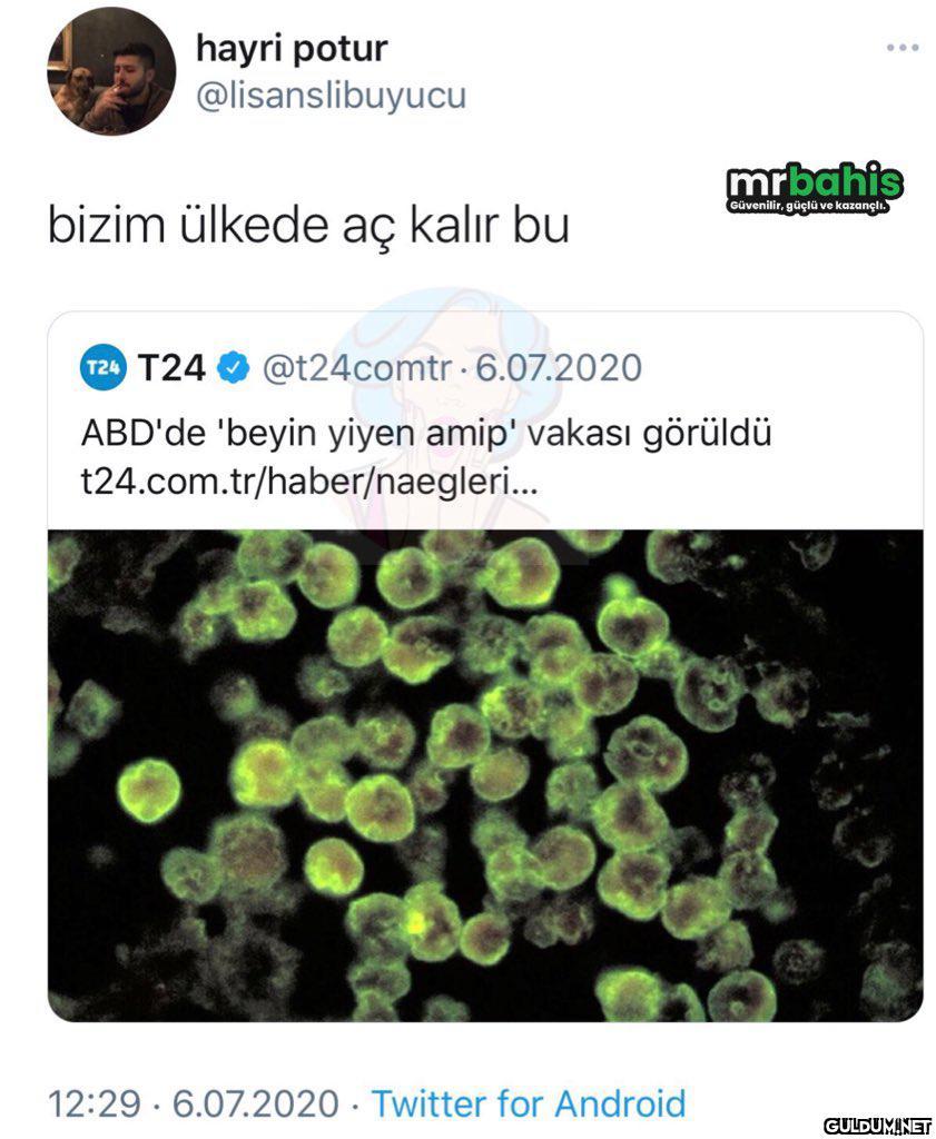 " hayri potur...