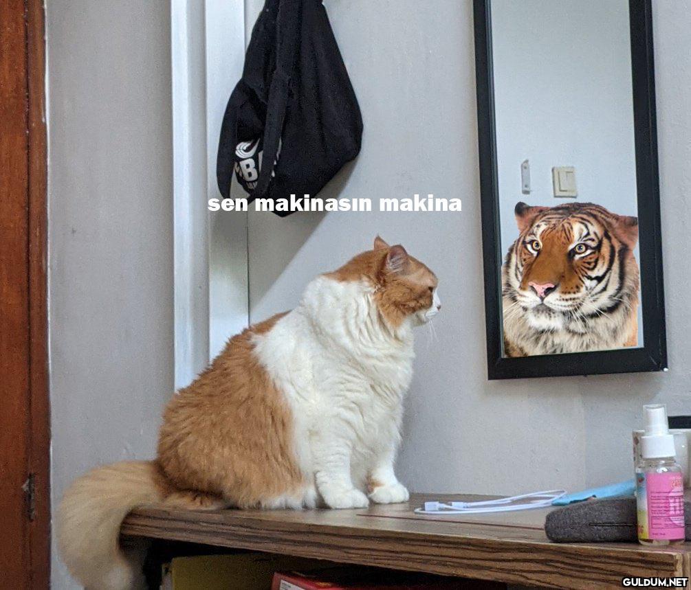 " sen makinasın makina    Kaynak"