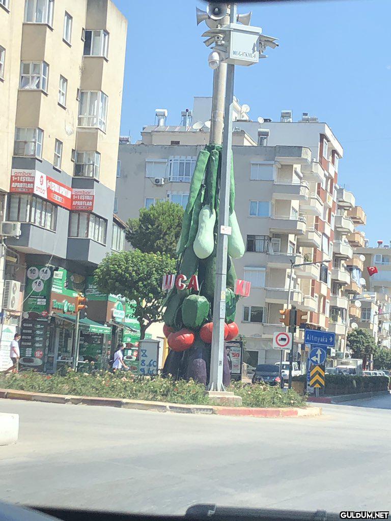 "  Biber domates kabak ne...