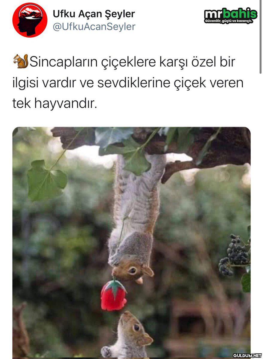 " Ufku Açan Şeyler...