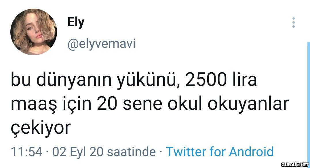" Ely @elyvemavi bu...