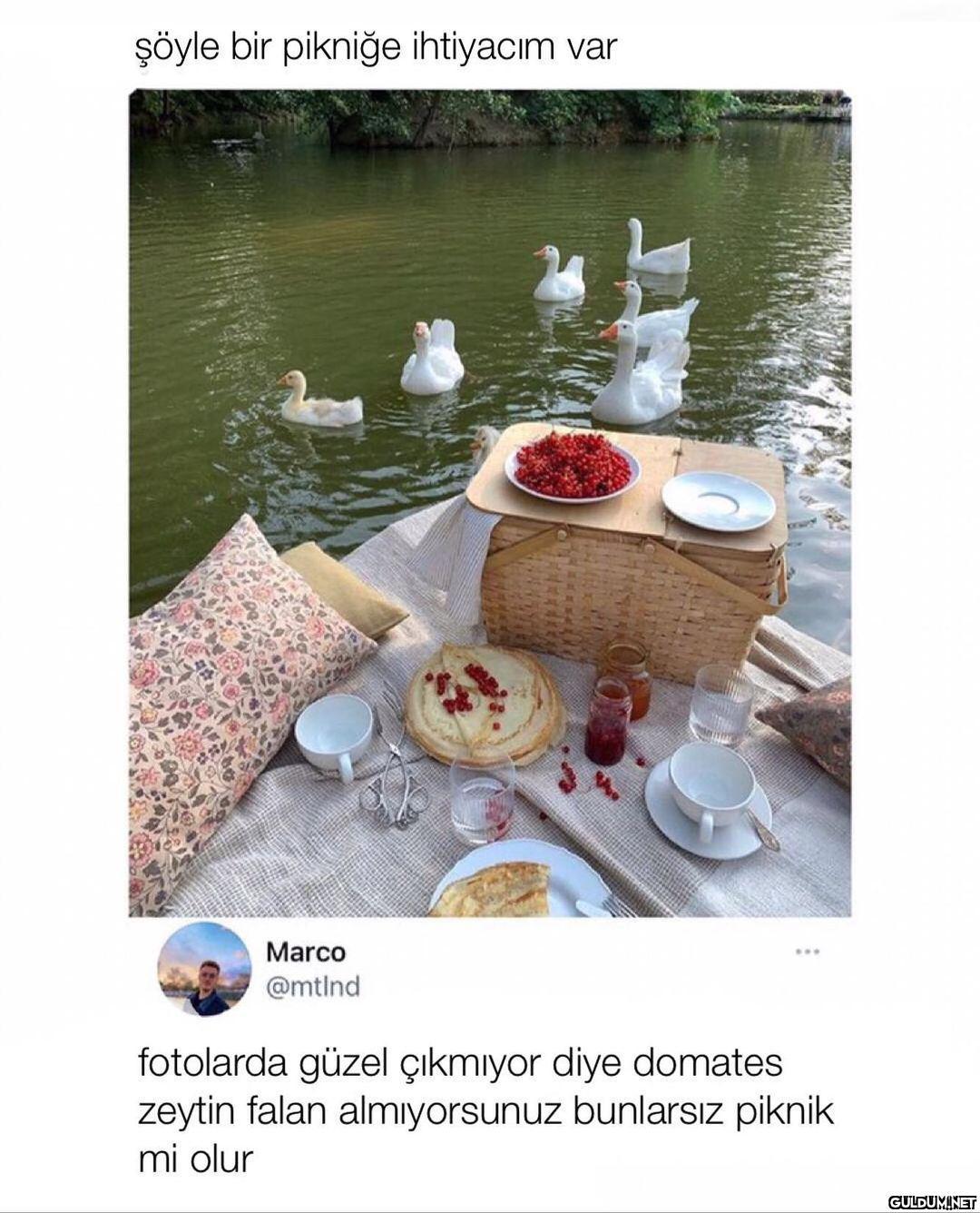 " artık her şey şov oldu...
