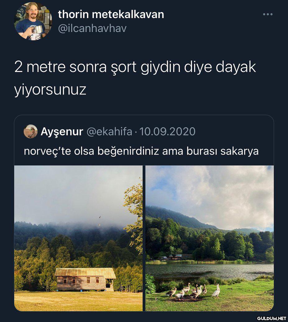 " thorin metekalkavan...