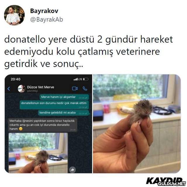 " Bayrakov @BayrakAb...